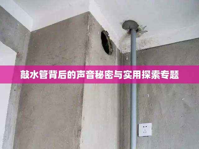 敲水管背后的声音秘密与实用探索专题