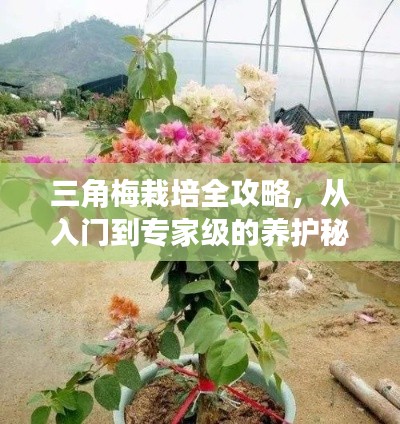 蛙鸣蝉噪 第2页