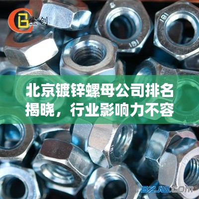 北京镀锌螺母公司排名揭晓，行业影响力不容小觑