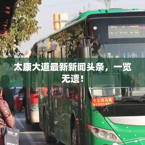 太康大道最新新闻头条，一览无遗！