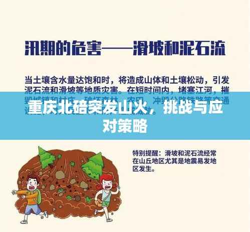 重庆北碚突发山火,挑战与应对策略