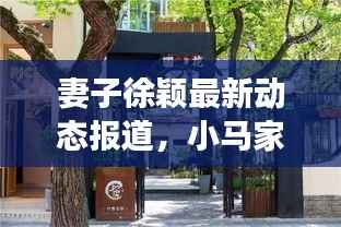 妻子徐颖最新动态报道,小马家的新鲜事