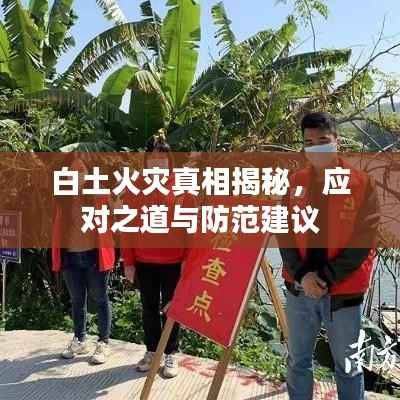 白土火灾真相揭秘,应对之道与防范建议