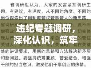 违纪专题调研,深化认识,筑牢防线,守护制度红线