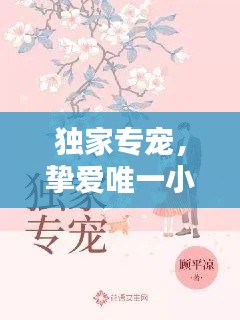 独家专宠,挚爱唯一小说