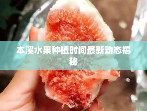 本溪水果种植时间最新动态揭秘