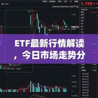 ETF最新行情解读,今日市场走势分析