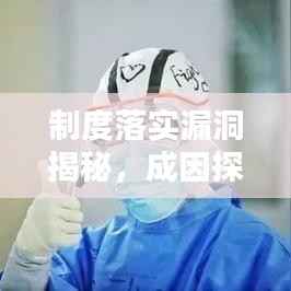 制度落实漏洞揭秘,成因探究与应对策略之道