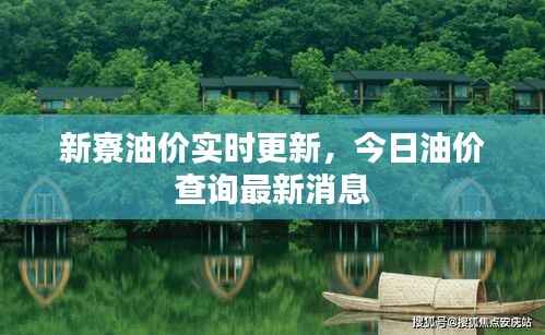 新寮油价实时更新,今日油价查询最新消息