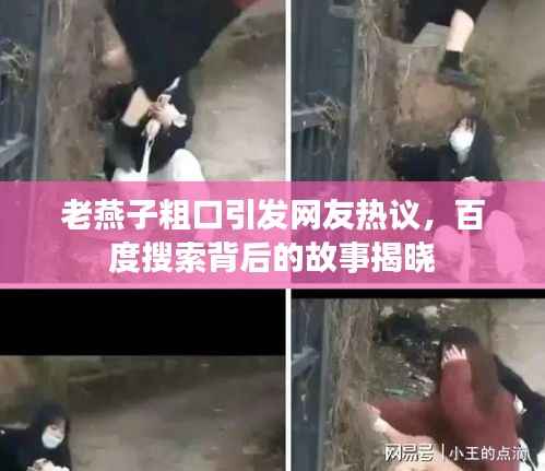 老燕子粗口引发网友热议,百度搜索背后的故事揭晓