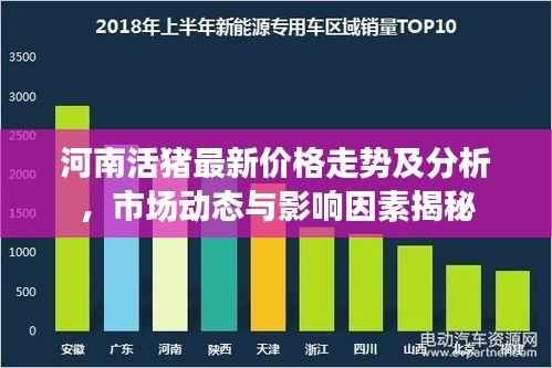 河南活猪最新价格走势及分析，市场动态与影响因素揭秘