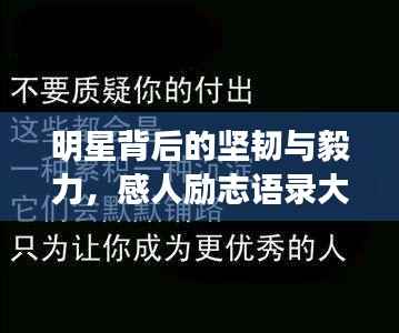明星背后的坚韧与毅力,感人励志语录大揭秘!