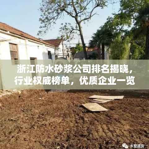 夸夸其谈