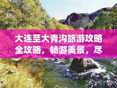 大连至大青沟旅游攻略全攻略,畅游美景,尽享绝佳体验!