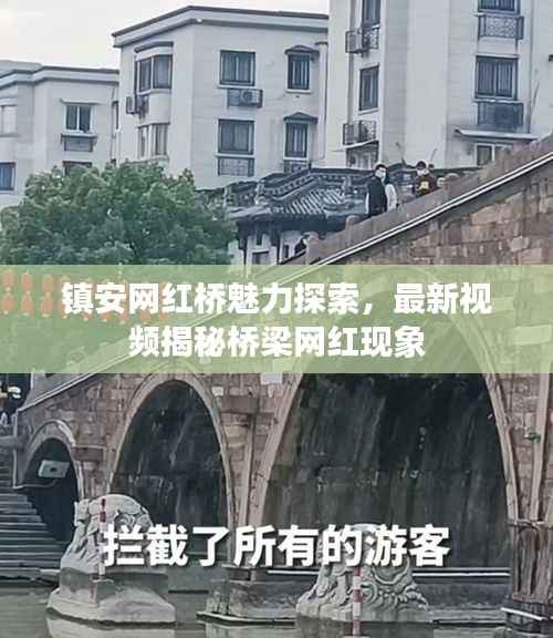 镇安网红桥魅力探索,最新视频揭秘桥梁网红现象