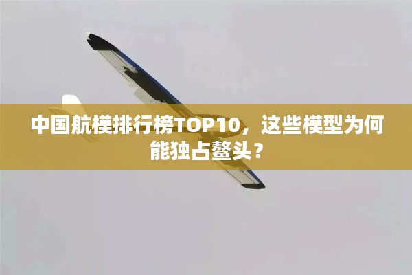 中国航模排行榜TOP10,这些模型为何能独占鳌头?
