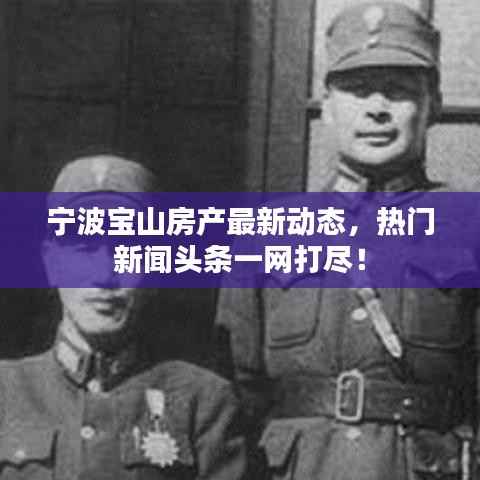 宁波宝山房产最新动态,热门新闻头条一网打尽!