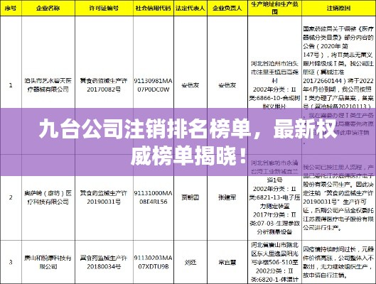 九台公司注销排名榜单,最新权威榜单揭晓!