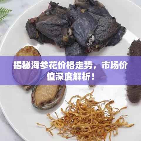揭秘海参花价格走势,市场价值深度解析!