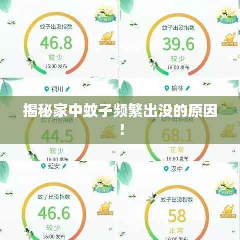 揭秘家中蚊子频繁出没的原因！