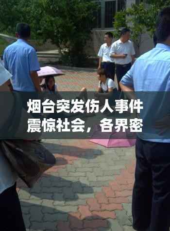 烟台突发伤人事件震惊社会，各界密切关注事件进展