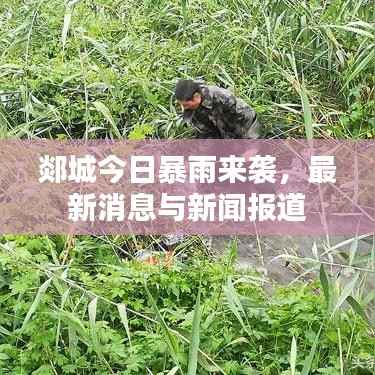 郯城今日暴雨来袭,最新消息与新闻报道