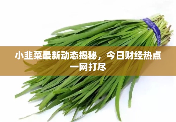 第564页
