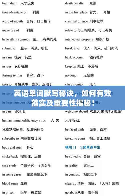 英语单词默写秘诀，如何有效落实及重要性揭秘！