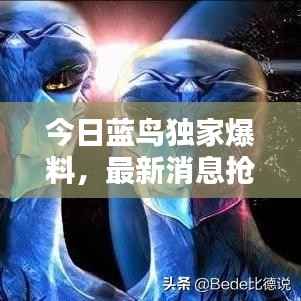 今日蓝鸟独家爆料,最新消息抢先看!