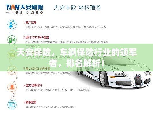 天安保险,车辆保险行业的领军者,排名解析!