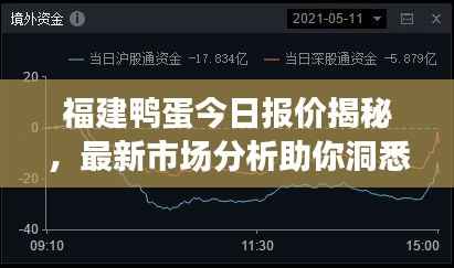 福建鸭蛋今日报价揭秘,最新市场分析助你洞悉行情!