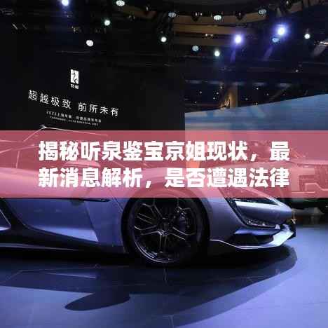 揭秘听泉鉴宝京姐现状,最新消息解析,是否遭遇法律制裁?