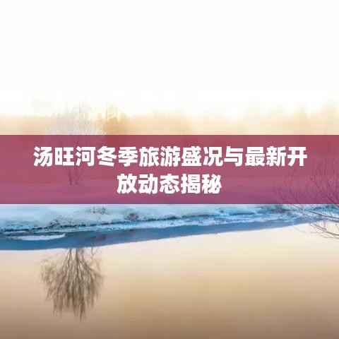 汤旺河冬季旅游盛况与最新开放动态揭秘