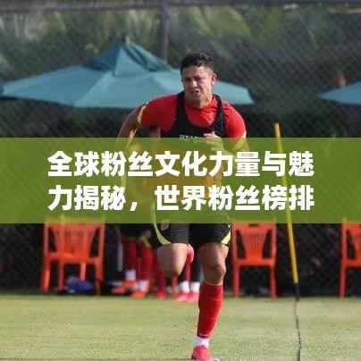 全球粉丝文化力量与魅力揭秘,世界粉丝榜排名探索