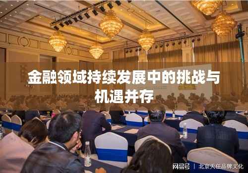 金融领域持续发展中的挑战与机遇并存