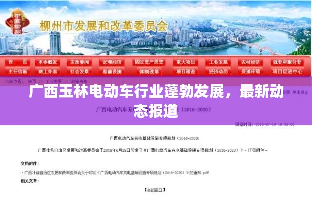 广西玉林电动车行业蓬勃发展，最新动态报道