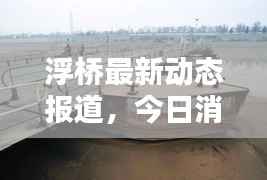 浮桥最新动态报道,今日消息更新速递