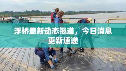 浮桥最新动态报道,今日消息更新速递