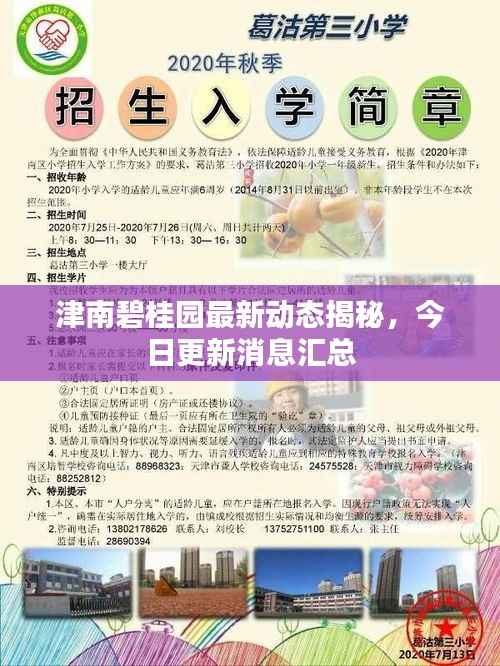 津南碧桂园最新动态揭秘,今日更新消息汇总