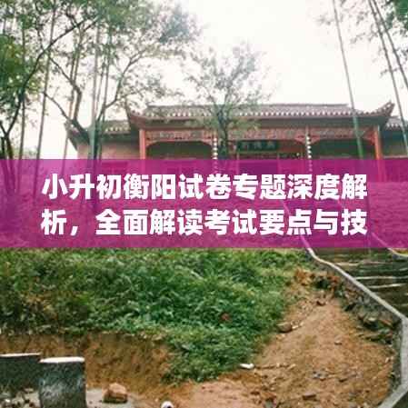 小升初衡阳试卷专题深度解析,全面解读考试要点与技巧