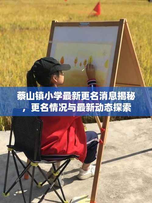 蔡山镇小学最新更名消息揭秘,更名情况与最新动态探索