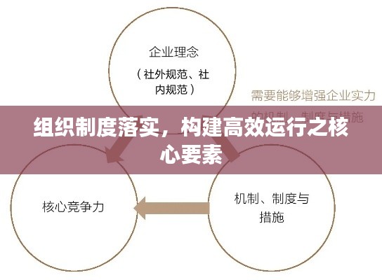 组织制度落实,构建高效运行之核心要素