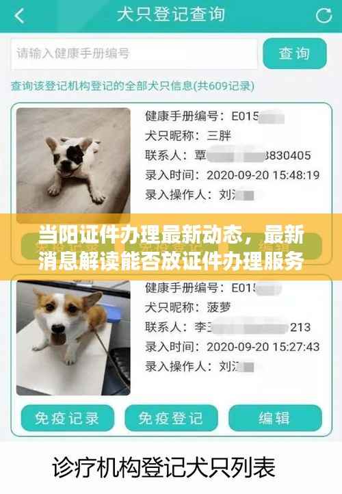 当阳证件办理最新动态,最新消息解读能否放证件办理服务