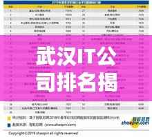 武汉IT公司排名揭秘,十大领先企业榜单