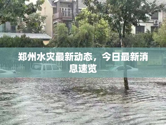 郑州水灾最新动态,今日最新消息速览