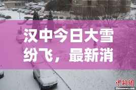 汉中今日大雪纷飞，最新消息视频直击现场