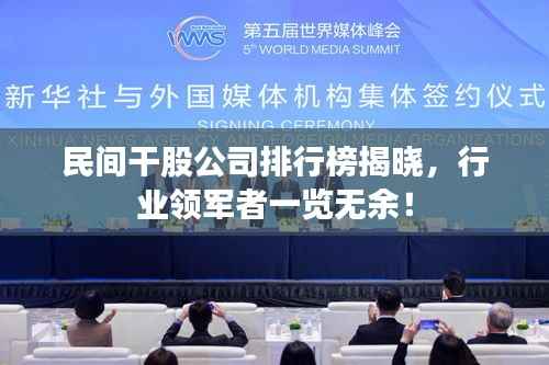 民间干股公司排行榜揭晓,行业领军者一览无余!